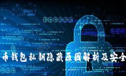 比特币钱包私钥隐藏原因解析及安全指南
