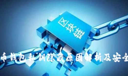 比特币钱包私钥隐藏原因解析及安全指南