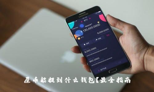 屎币能提到什么钱包？最全指南