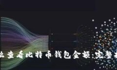 怎么查看比特币钱包金额