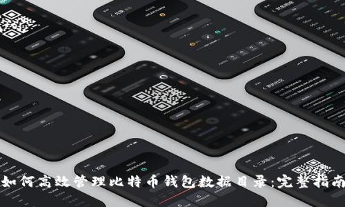 如何高效管理比特币钱包数据目录：完整指南