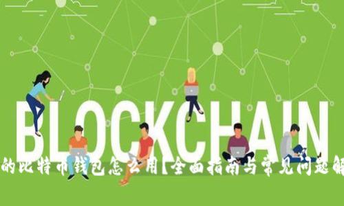 我的比特币钱包怎么用？全面指南与常见问题解析
