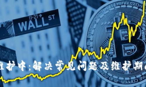 tpWallet维护中：解决常见问题及维护期间使用指南