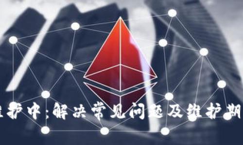 tpWallet维护中：解决常见问题及维护期间使用指南