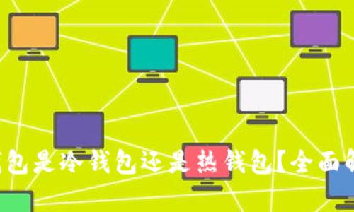 Bitkeep钱包是冷钱包还是热钱包?全面解析与比较