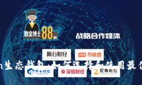 深入了解Token生态钱包:如何选择和使用最佳数字资产钱包