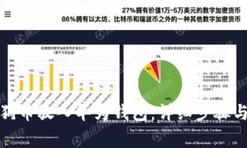 如何将狗狗币放入华为钱包:详细步骤与注意事项