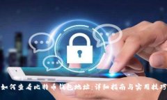如何查看比特币钱包地址：详细指南与