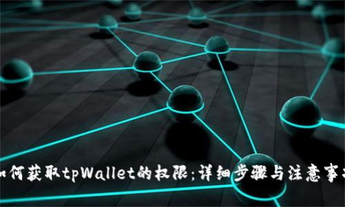 如何获取tpWallet的权限:详细步骤与注意事项