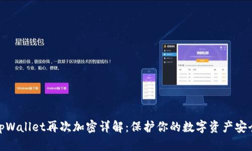 tpWallet再次加密详解：保护你的数字资产安全