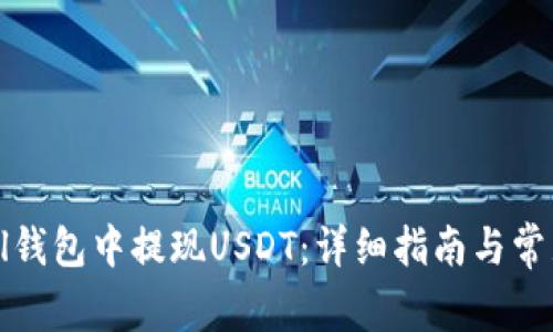 如何在Abel钱包中提现USDT:详细指南与常见问题解答