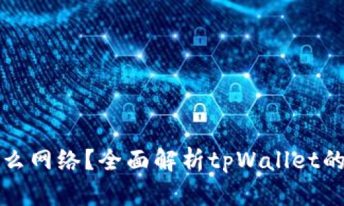 tpWallet用的是什么网络?全面解析tpWallet的网络架构及其优势