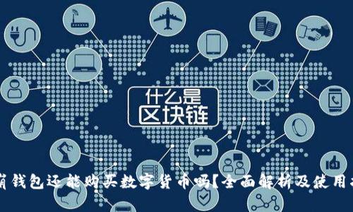 雪崩钱包还能购买数字货币吗?全面解析及使用指南