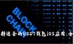 如何选择适合的USDT钱包iOS应用：全面