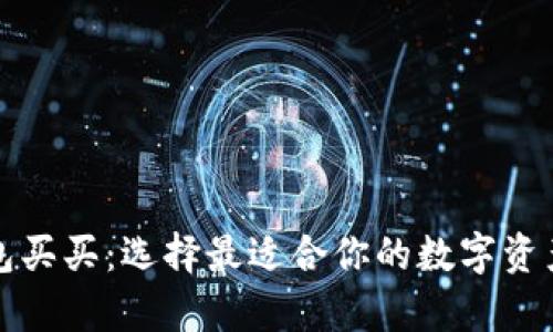 比特币钱包买买:选择最适合你的数字资产存储方案