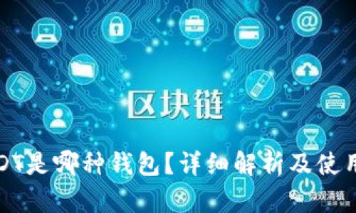 : USDT是哪种钱包?详细解析及使用指南