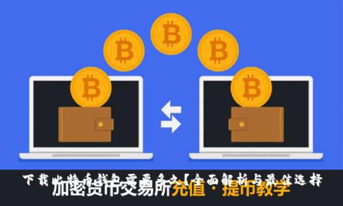 下载比特币钱包需要多久?全面解析与最佳选择