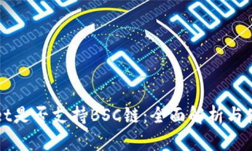 tpWallet是否支持BSC链:全面解析与使用指南