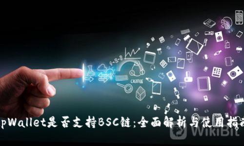 tpWallet是否支持BSC链:全面解析与使用指南