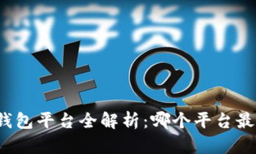 比特币钱包平台全解析：哪个平台最适合你？
