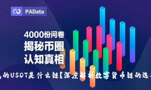 虎符钱包的USDT是什么链？深度解析数字货币链的选择与影响