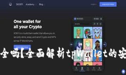 tpWallet安全吗？全面解析tpWallet的安全性与风险