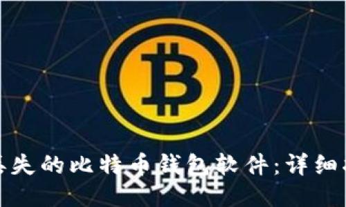 如何找回丢失的比特币钱包软件：详细指南与技巧