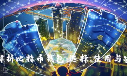 全面解析比特币钱包:选择、使用与安全性