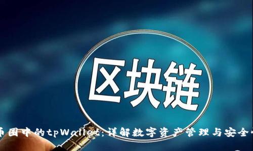 币圈中的tpWallet:详解数字资产管理与安全性