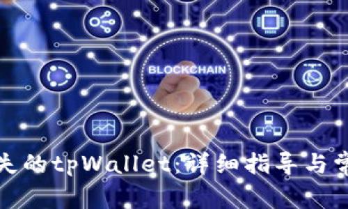 如何找回丢失的tpWallet：详细指导与常见问题解答