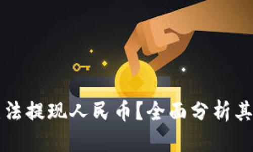 tpWallet为何无法提现人民币?全面分析其原因与解决方案