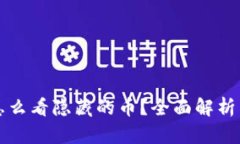 tpWallet怎么看隐藏的币？全面解析与实
