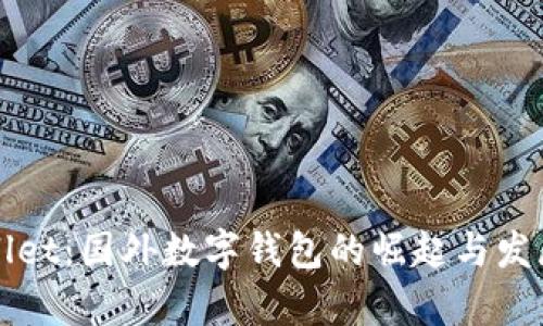 tpWallet：国外数字钱包的崛起与发展分析