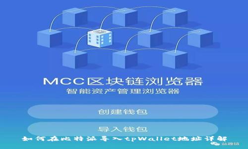 如何在比特派导入tpWallet地址详解