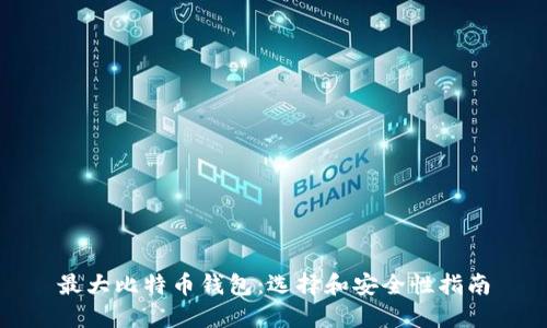 最大比特币钱包：选择和安全性指南