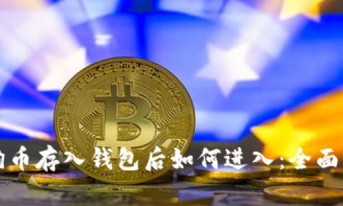 狗狗币存入钱包后如何进入：全面指南