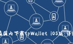 如何在国内下载tpWallet iOS版：详细指南