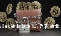 tpWallet的私钥导出：你真的需要吗？