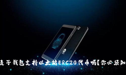 شةlti麦子钱包支持以太坊ERC20代币吗？你必须知道的事！
