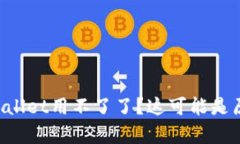 为什么我的tpWallet用不了了？这可能是