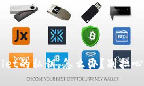 你丢了tpWallet的私钥，怎么办？别担心，我来告诉你！