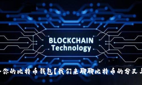 怎样选择最适合你的比特币钱包？我们来聊聊比特币的分叉与钱包的关系吧！