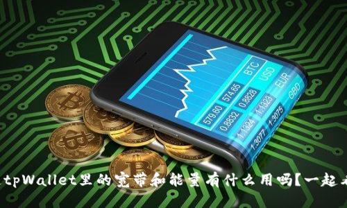 你知道tpWallet里的宽带和能量有什么用吗？一起看看吧！