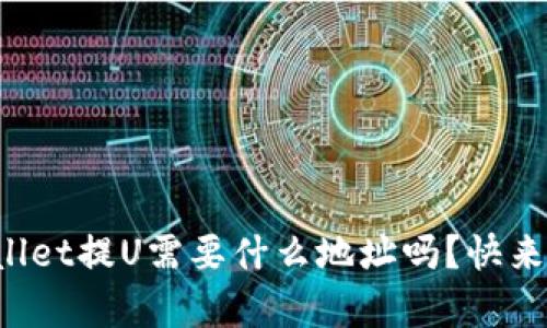 你知道tpWallet提U需要什么地址吗？快来了解一下吧！