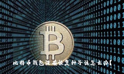 比特币钱包没有恢复种子该怎么办？