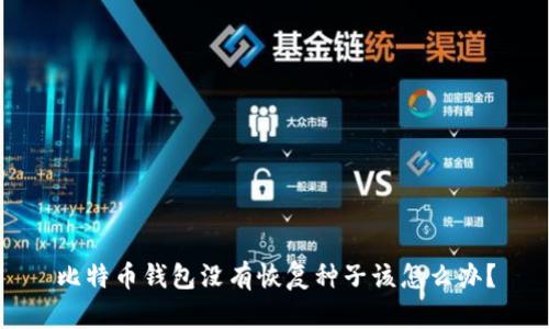 比特币钱包没有恢复种子该怎么办？