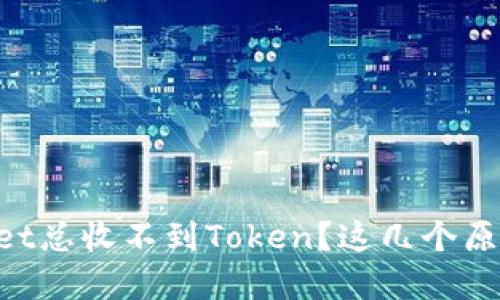 为什么tpWallet总收不到Token？这几个原因你需要知道！