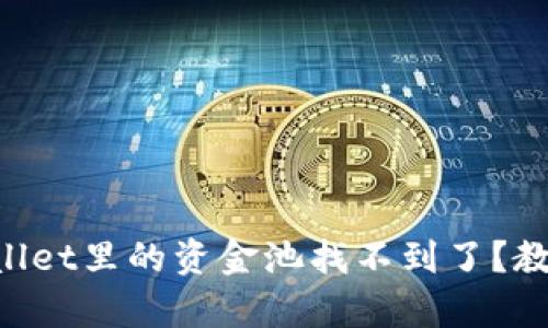 为什么tpWallet里的资金池找不到了？教你快速解决！