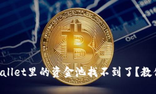为什么tpWallet里的资金池找不到了？教你快速解决！