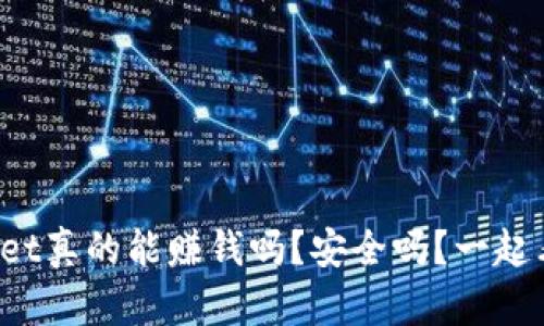 tpWallet真的能赚钱吗？安全吗？一起看看吧！